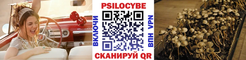 Псилоцибиновые грибы Psilocybine cubensis  где купить наркоту  кракен зеркало  Котовск 